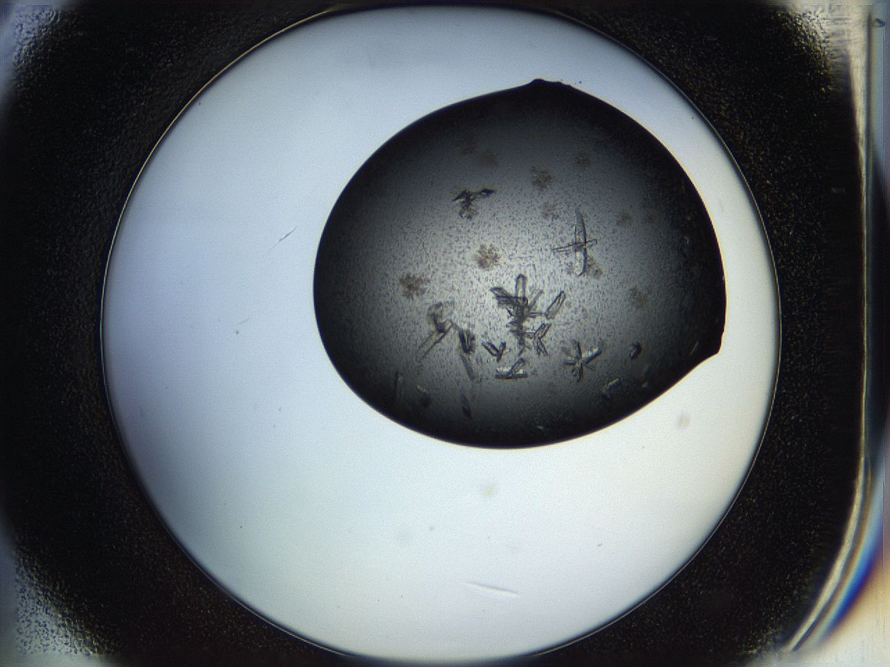 05hm_B9_ImagerDefaults_8.jpg