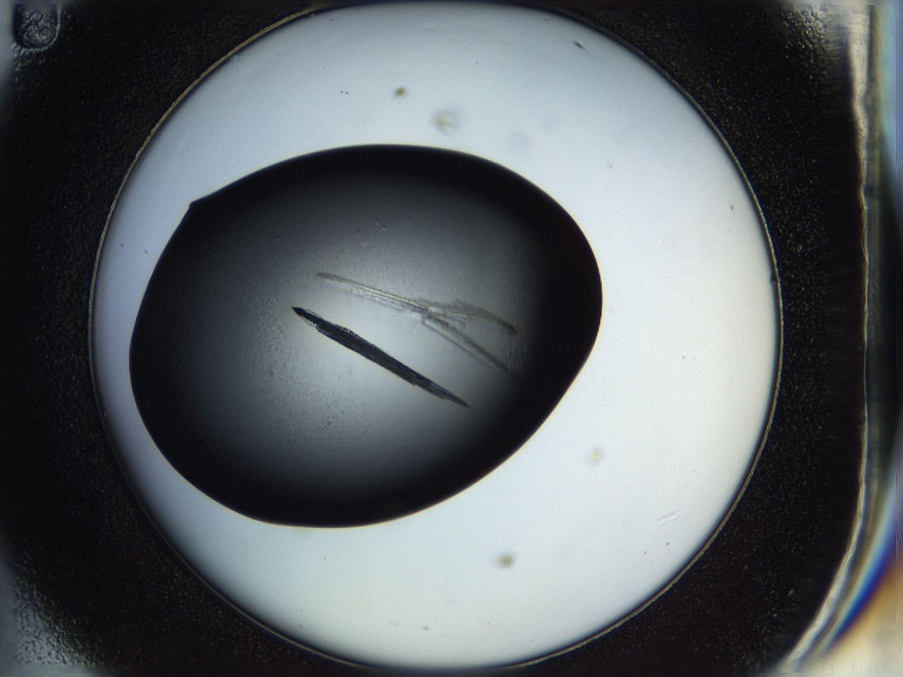05hm_D11_ImagerDefaults_9.jpg