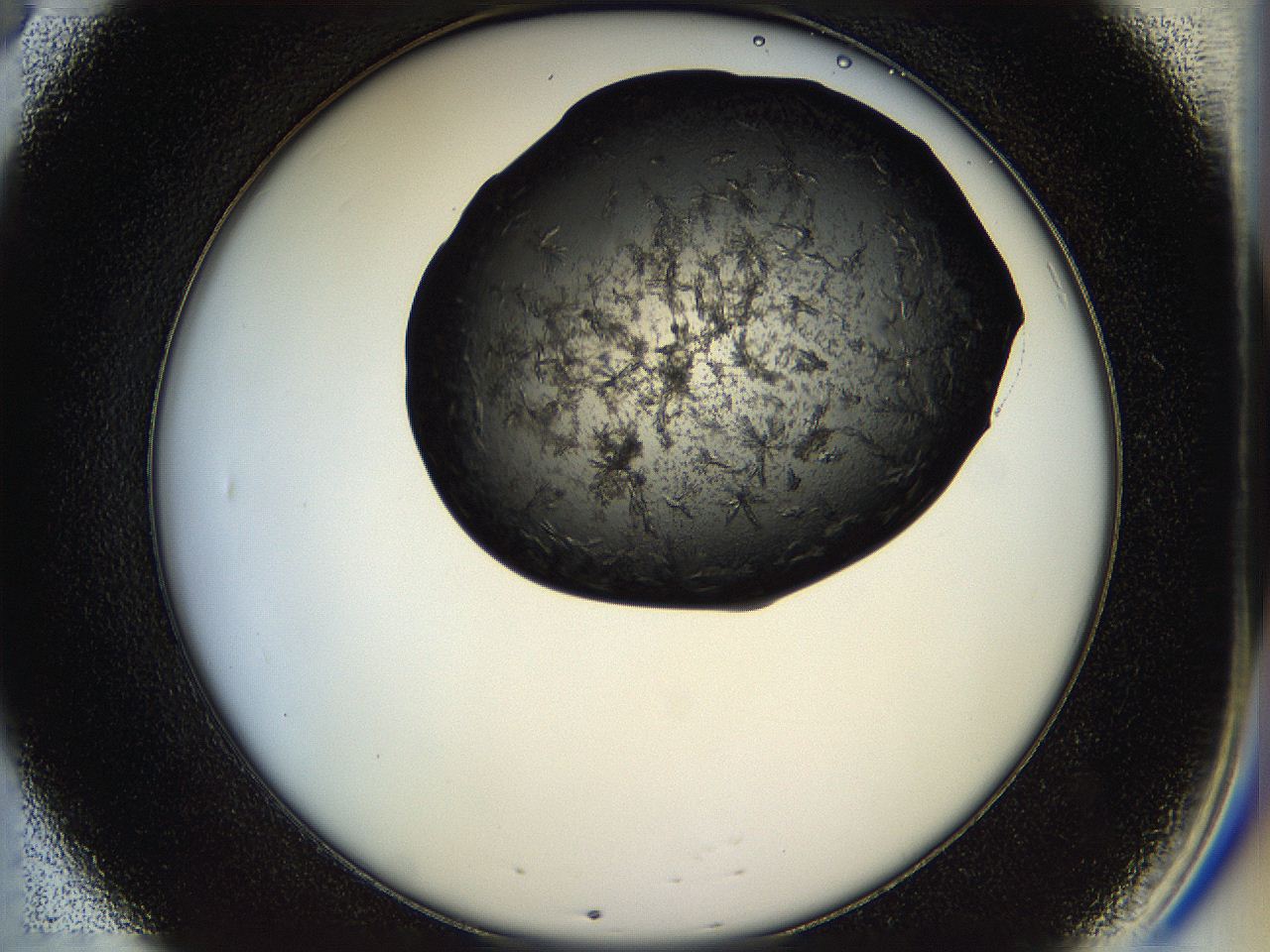 05hm_B8_ImagerDefaults_6.jpg