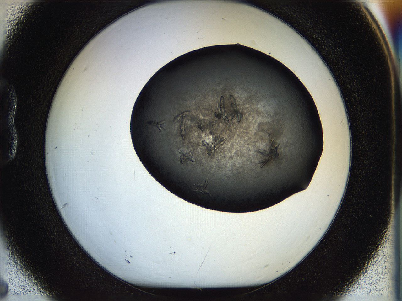 05hm_B6_ImagerDefaults_7.jpg