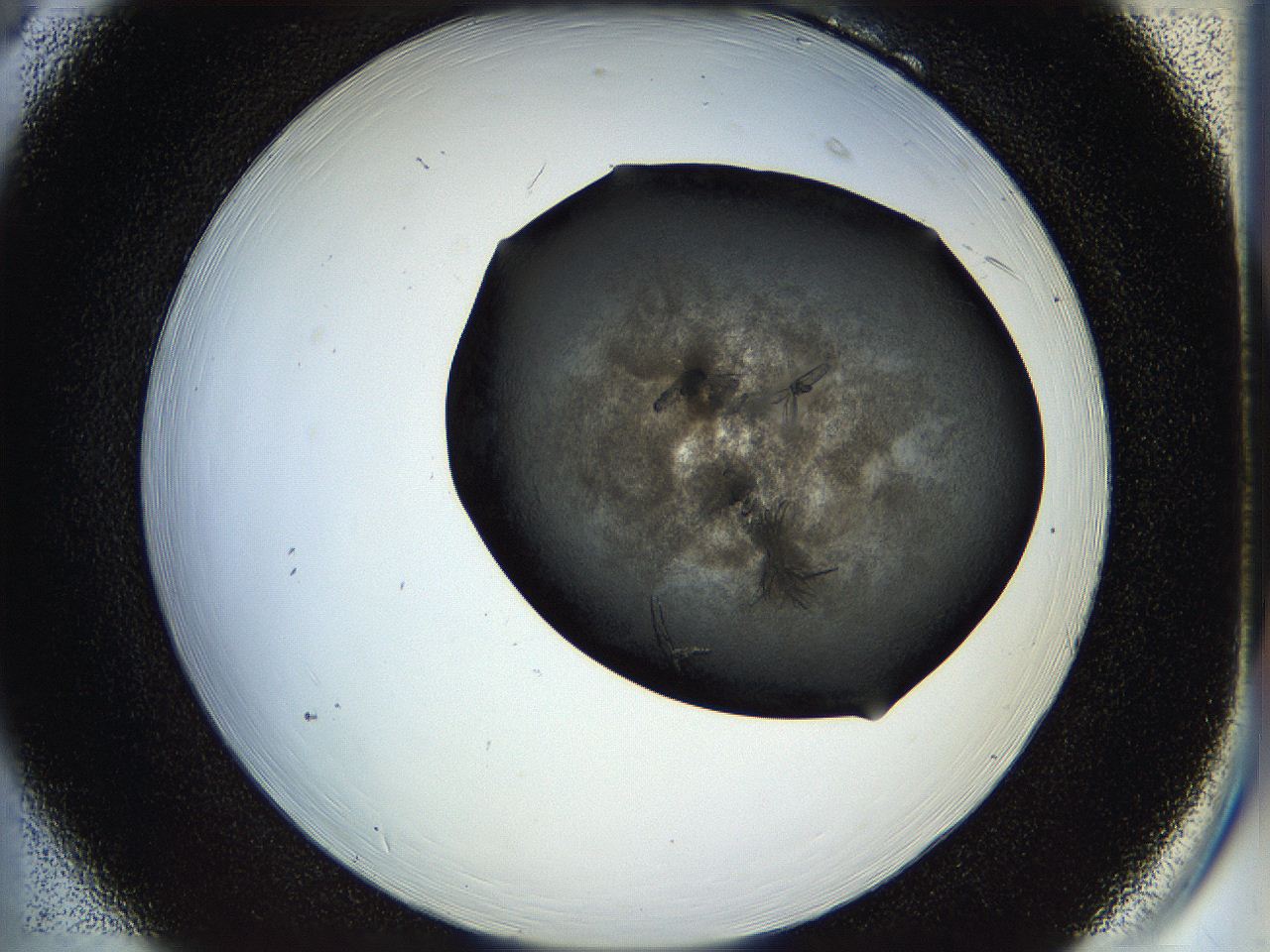 05hm_B6_ImagerDefaults_8.jpg