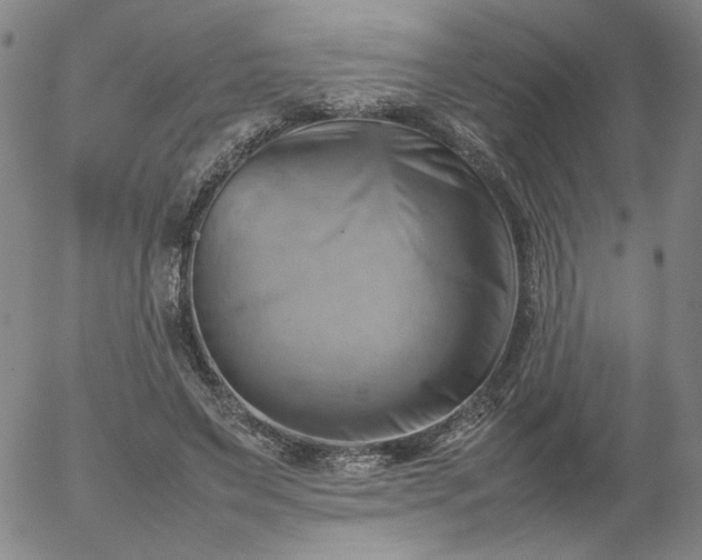 X0000054650495200508091645.png