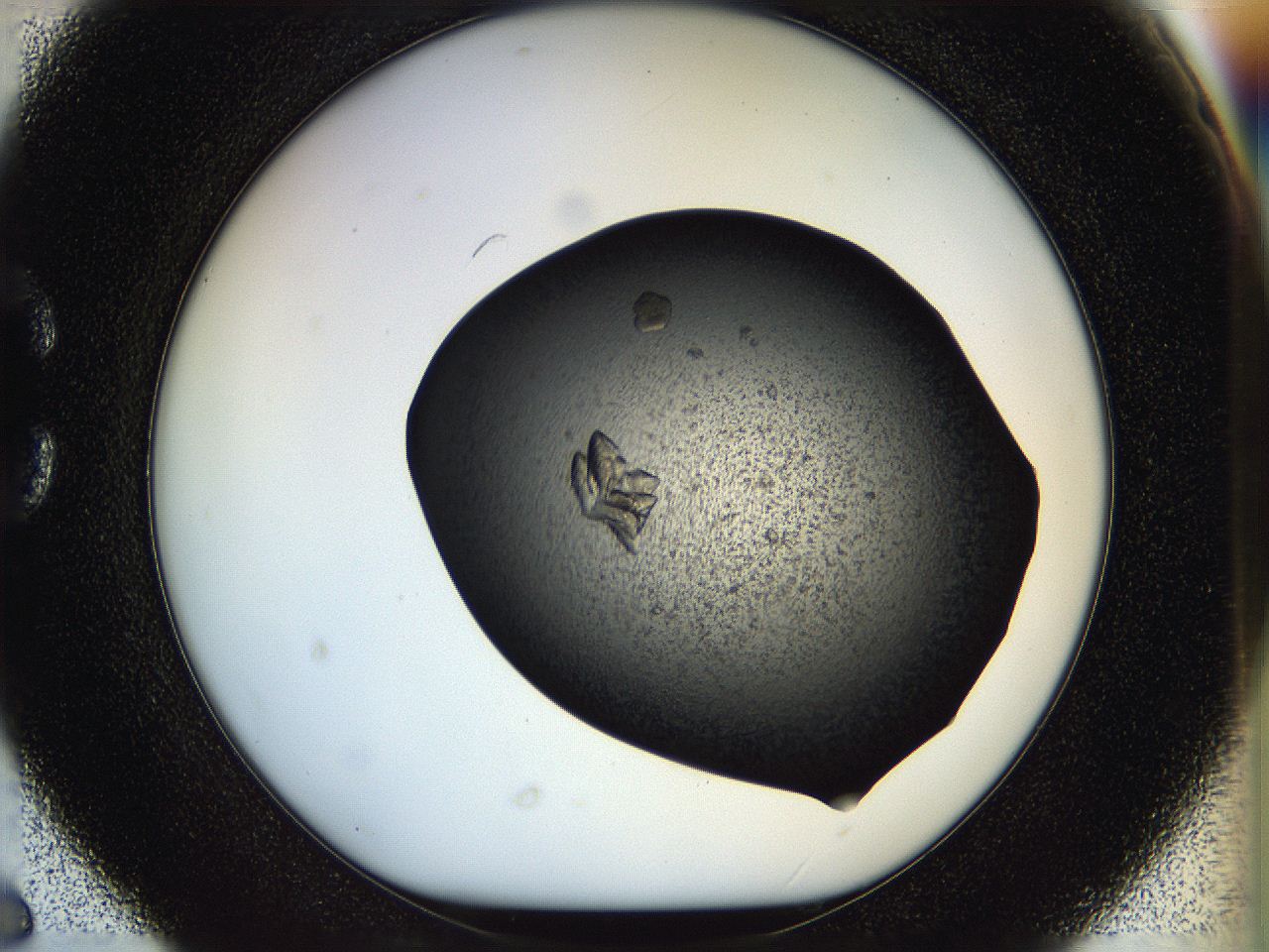 05hm_C6_ImagerDefaults_6.jpg