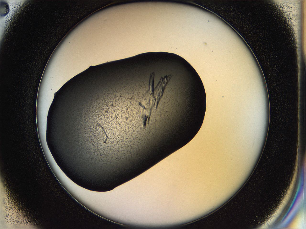 05hm_C2_ImagerDefaults_9.jpg