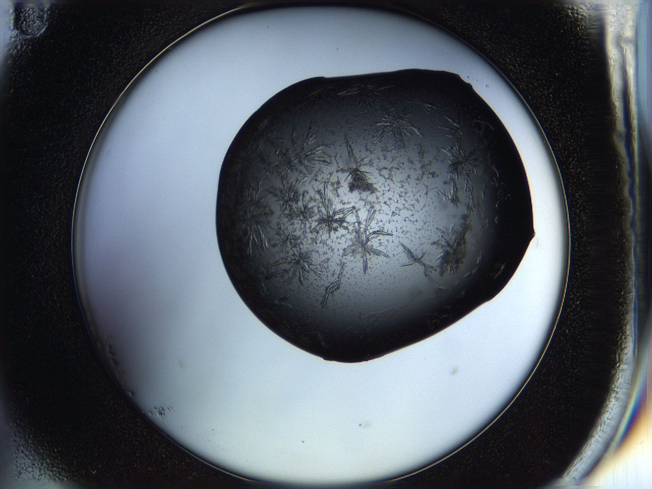 05hm_B11_ImagerDefaults_7.jpg