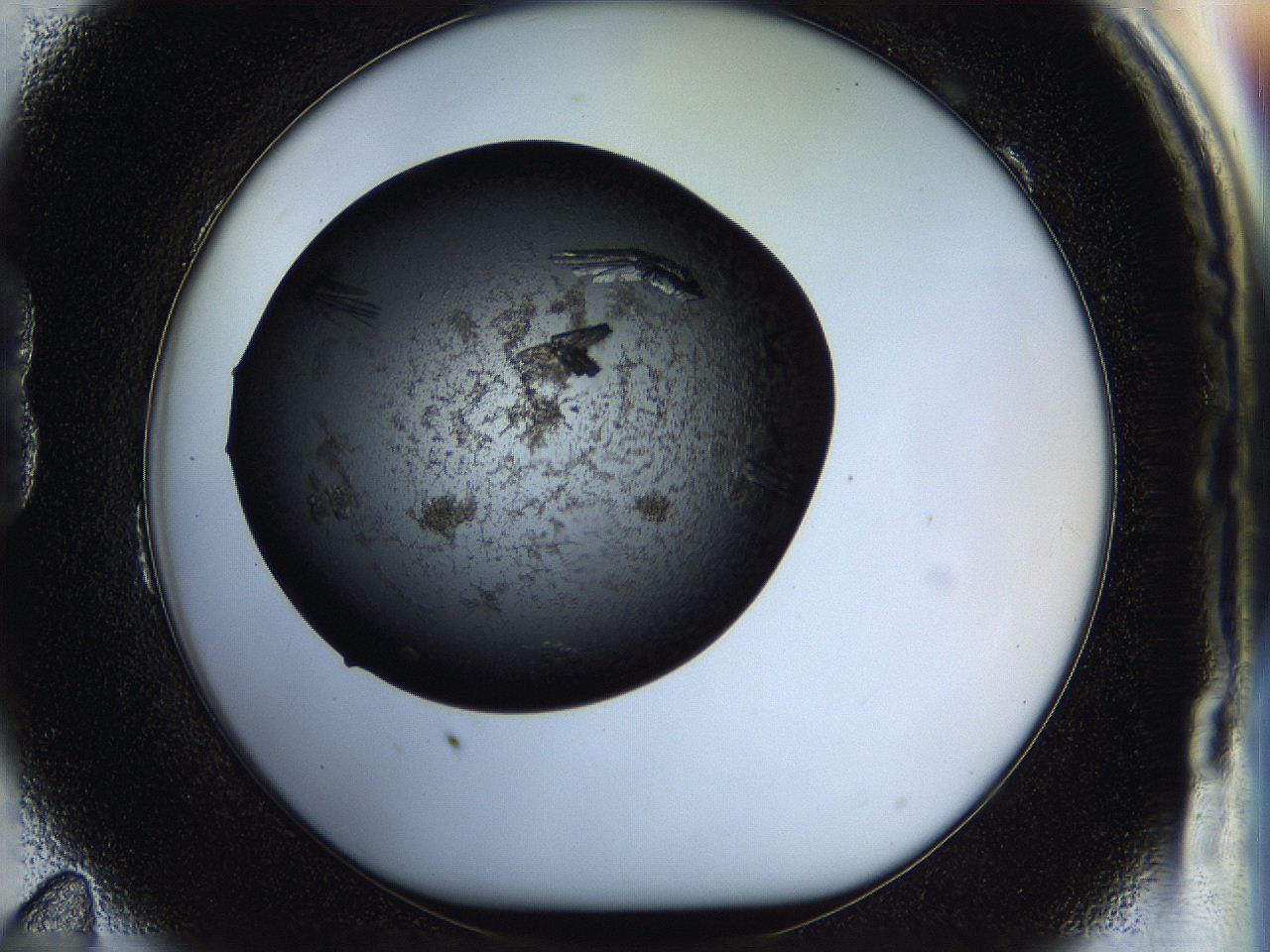 05hm_B11_ImagerDefaults_8.jpg