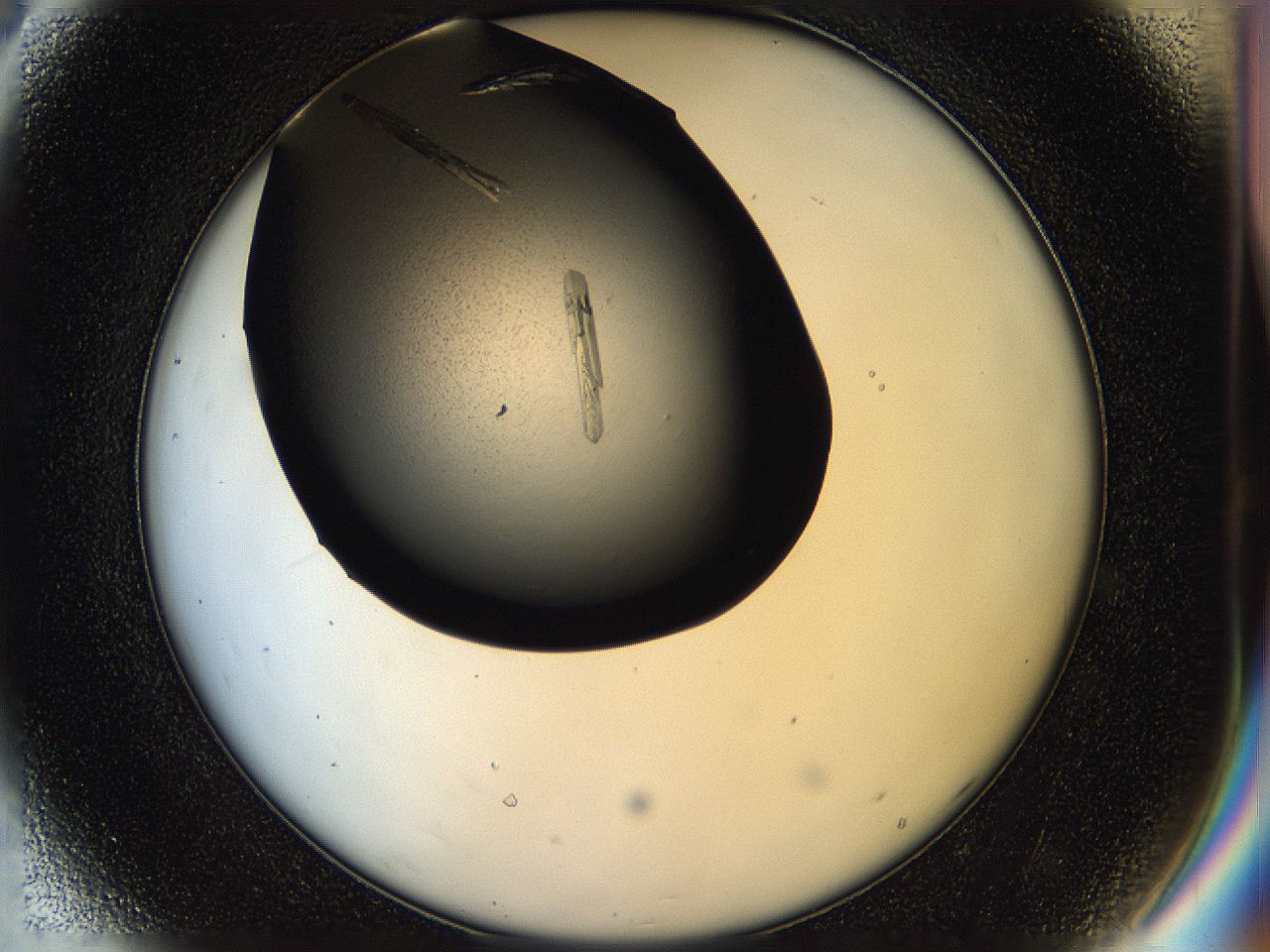 05hm_D8_ImagerDefaults_8.jpg