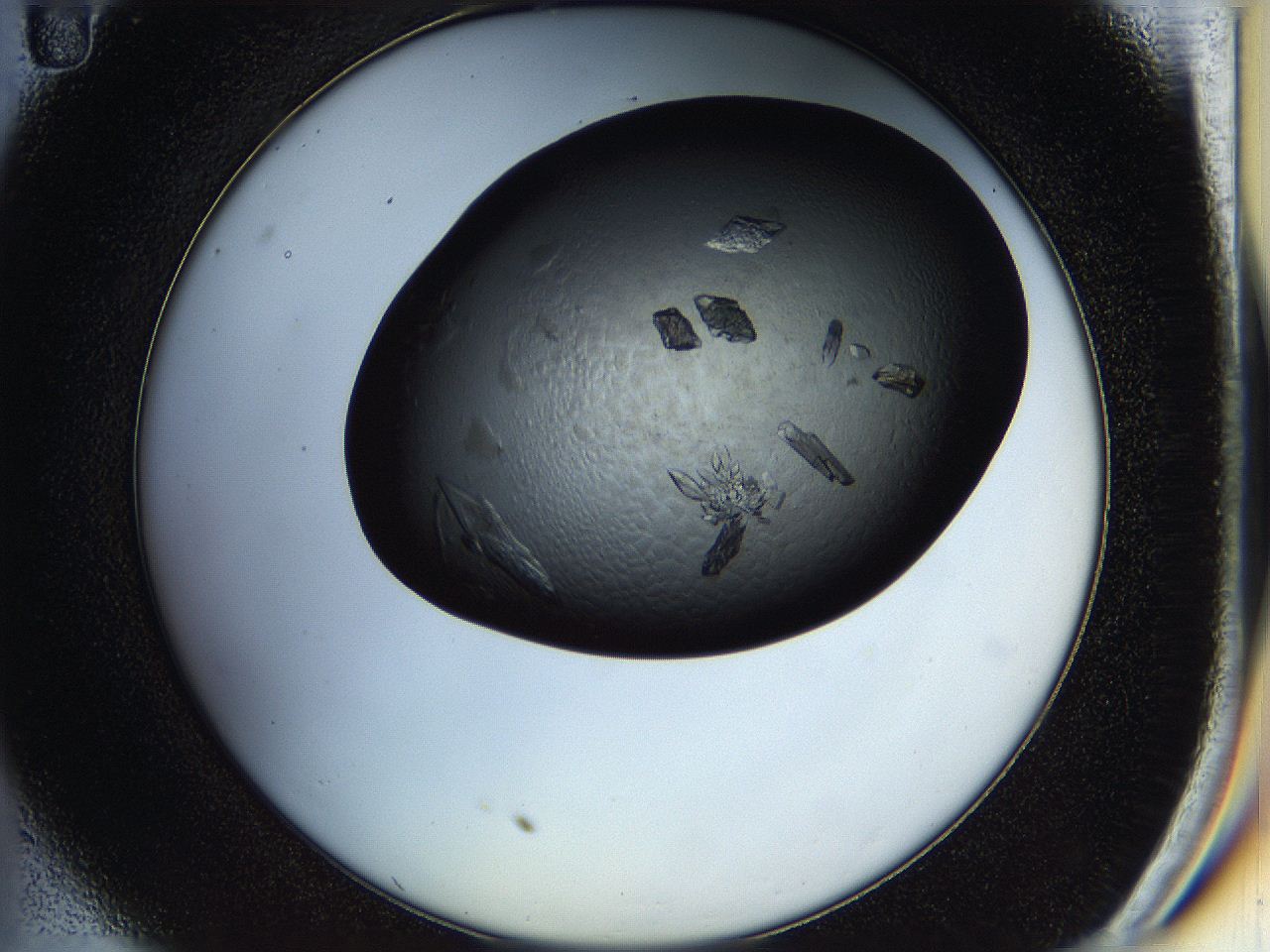 05hn_C11_ImagerDefaults_9.jpg