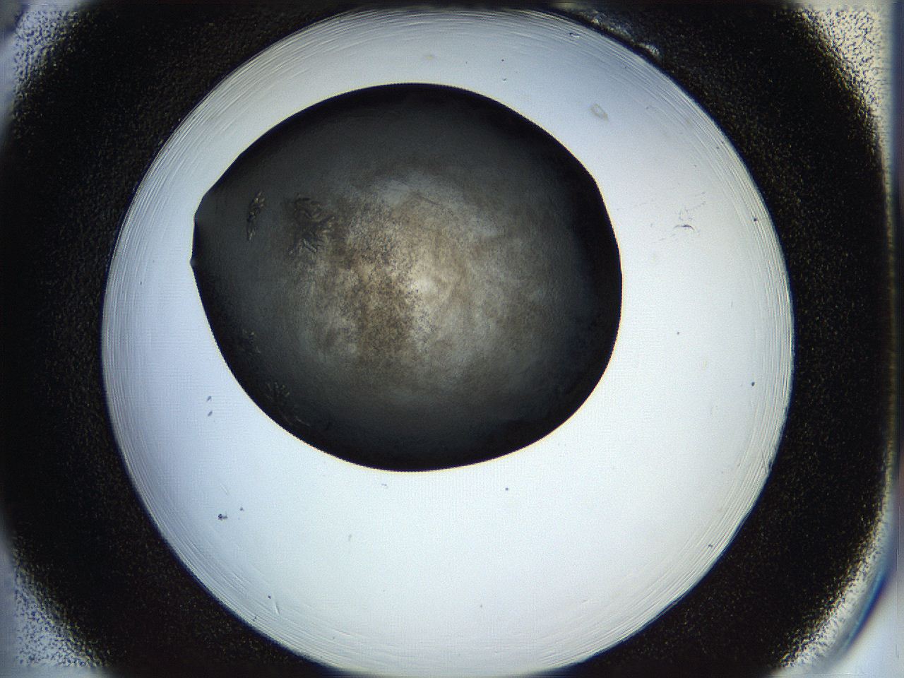 05hn_B6_ImagerDefaults_6.jpg