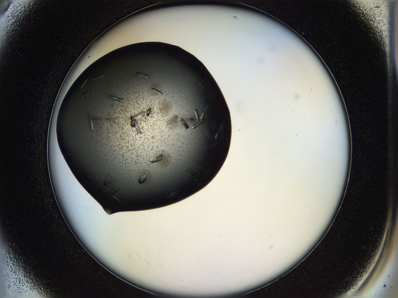 05ho_A8_ImagerDefaults_9.jpg