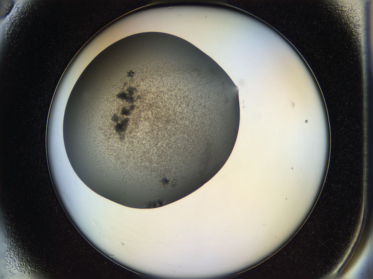 05ho_A3_ImagerDefaults_6.jpg