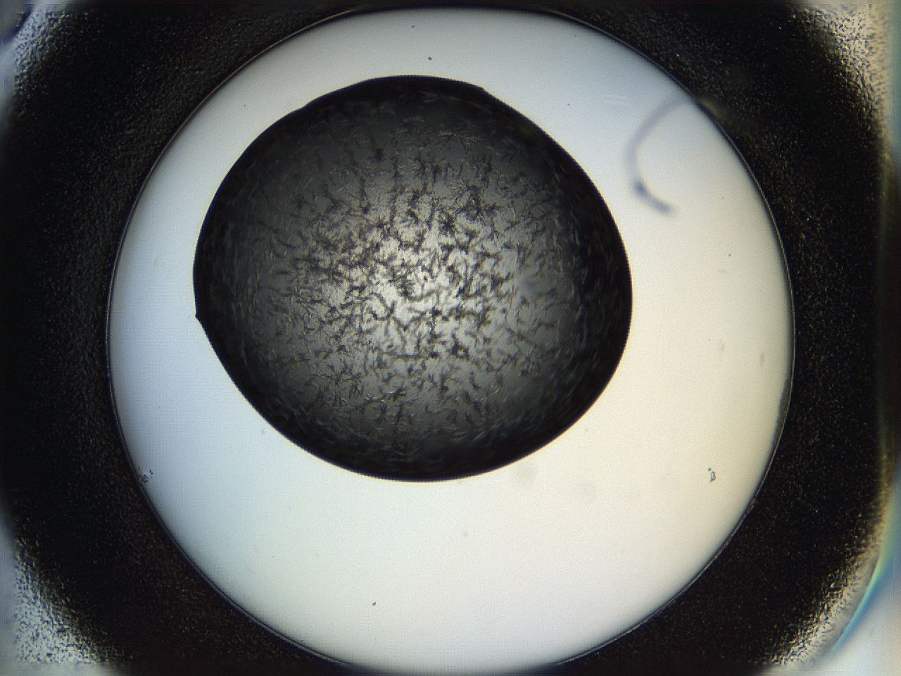 05ho_C6_ImagerDefaults_6.jpg