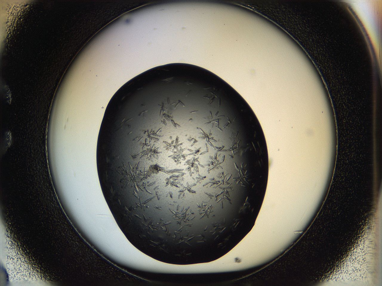 05ho_C8_ImagerDefaults_7.jpg