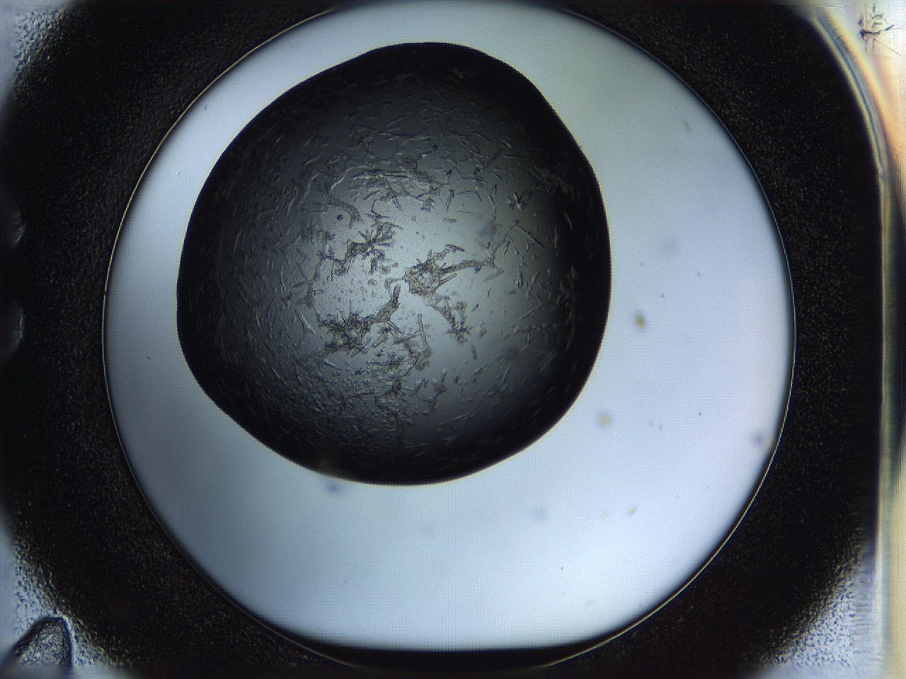 05ho_C11_ImagerDefaults_6.jpg