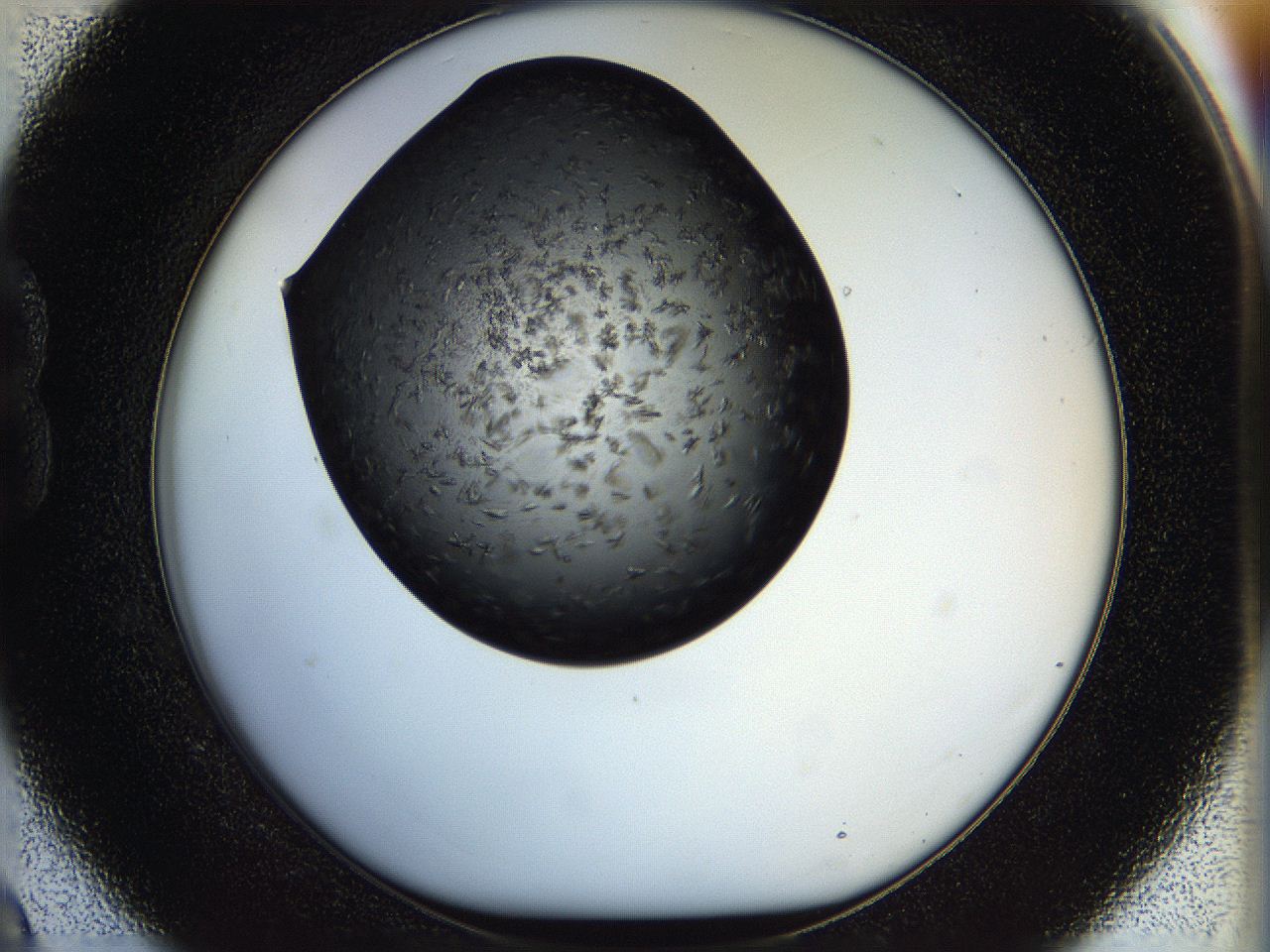 05ho_B9_ImagerDefaults_6.jpg