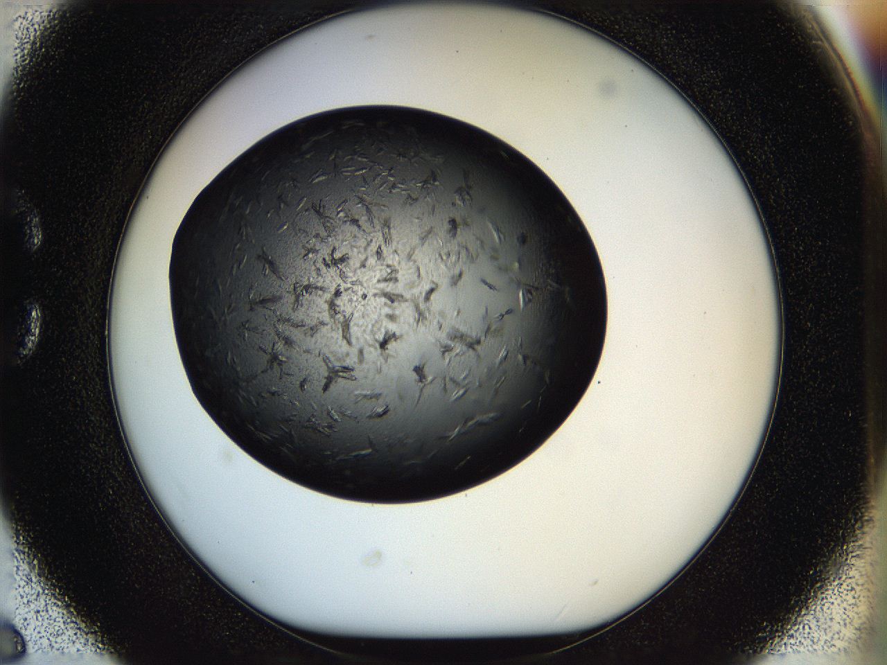 05ho_C6_ImagerDefaults_7.jpg