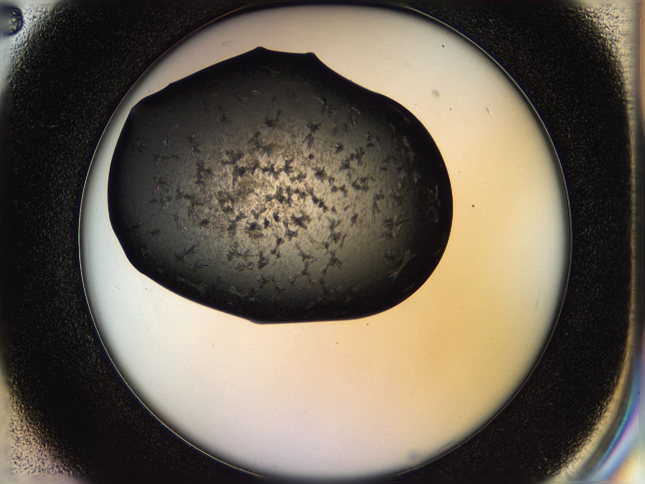 05ho_C2_ImagerDefaults_7.jpg