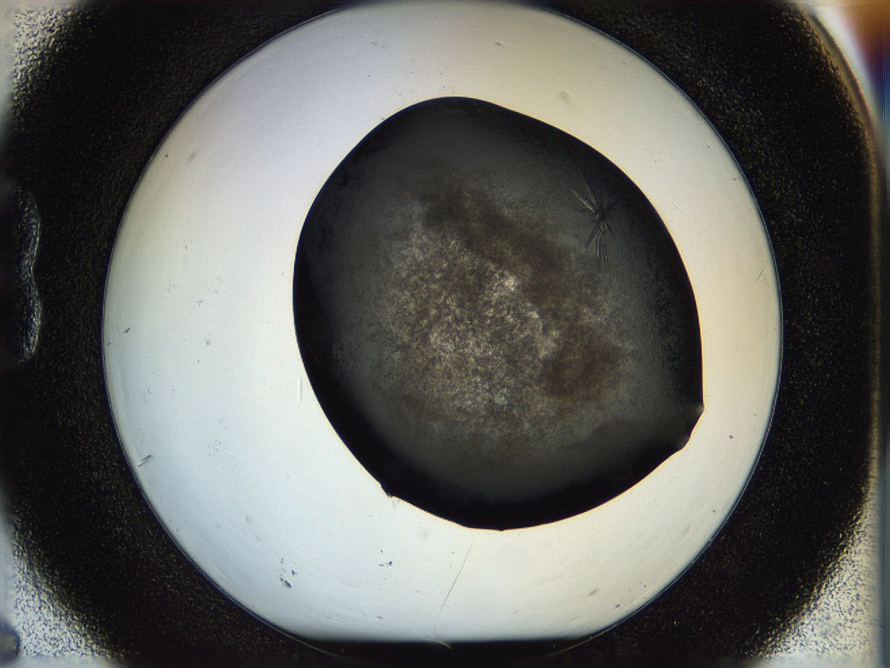 05ho_B6_ImagerDefaults_6.jpg