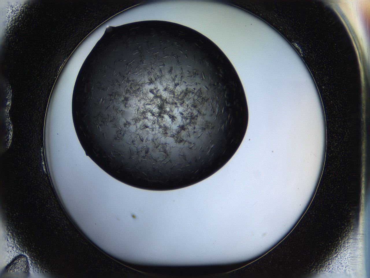 05ho_B11_ImagerDefaults_6.jpg