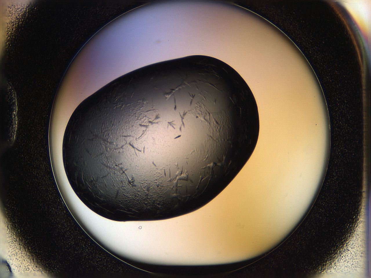05ho_D2_ImagerDefaults_6.jpg