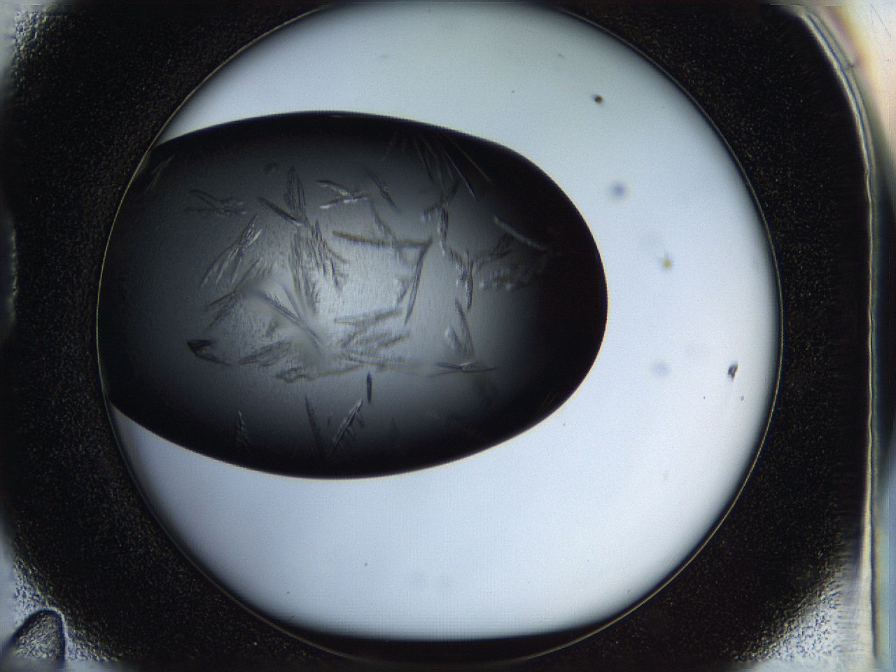 05ho_D11_ImagerDefaults_7.jpg