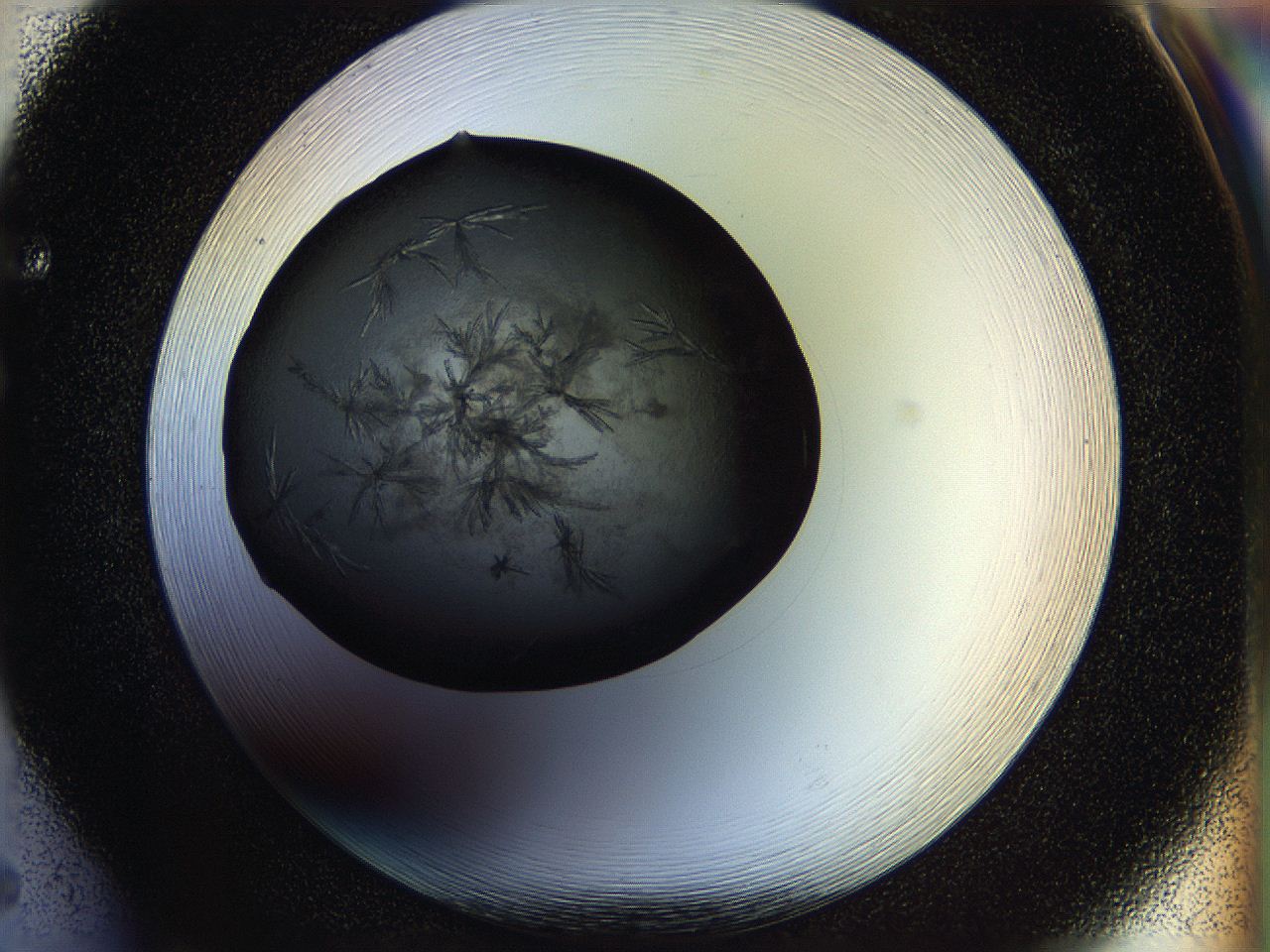 05ho_F5_ImagerDefaults_7.jpg