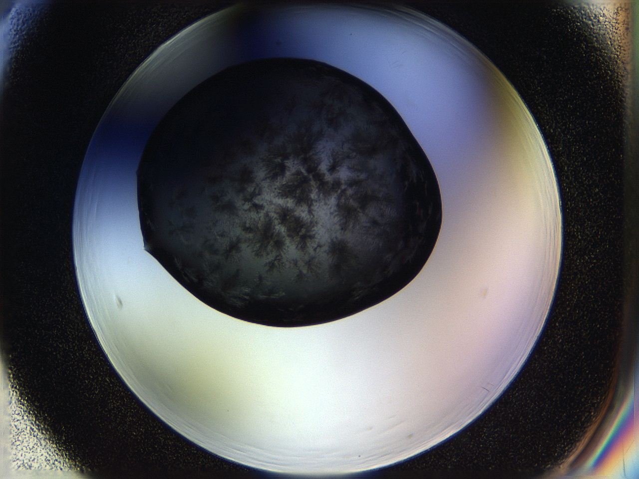 05ho_F5_ImagerDefaults_6.jpg