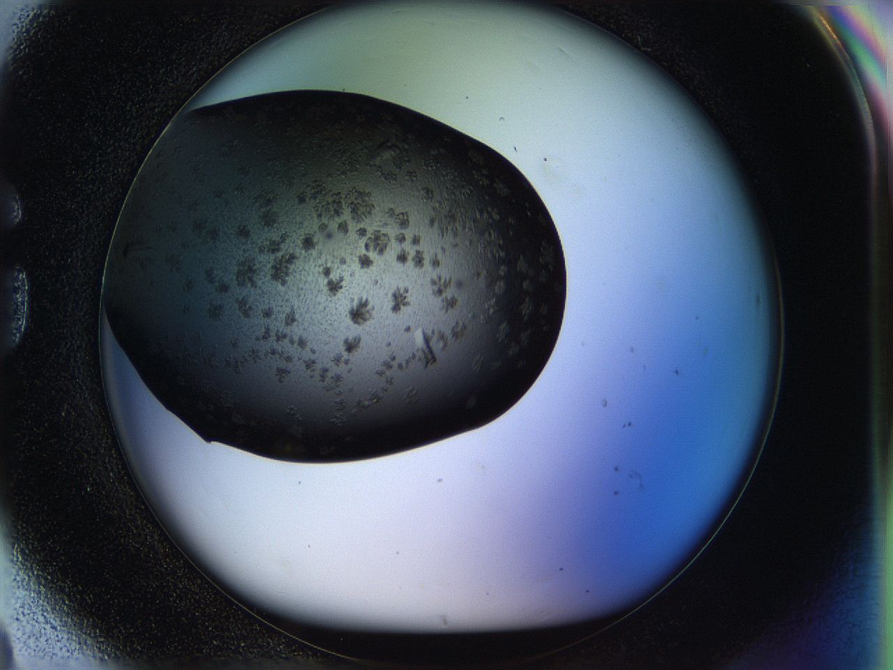 05ho_G8_ImagerDefaults_7.jpg