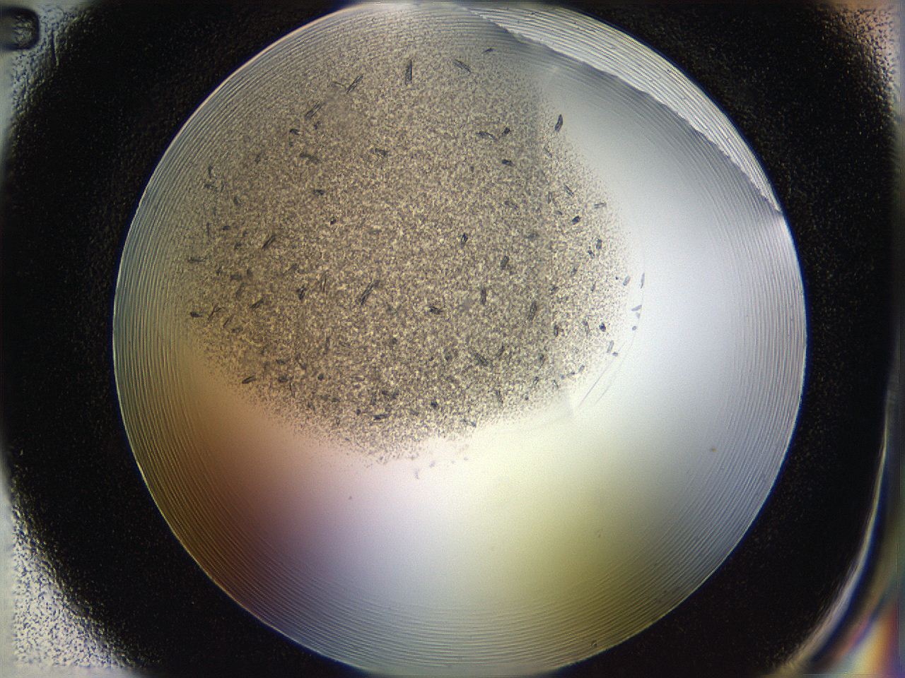05ho_H2_ImagerDefaults_7.jpg