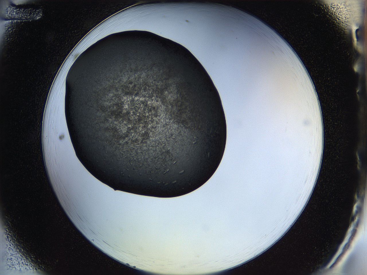 05hp_A12_ImagerDefaults_6.jpg