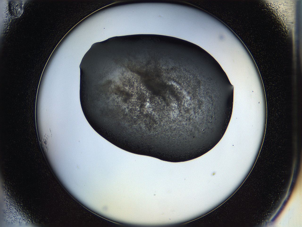 05hp_A11_ImagerDefaults_6.jpg