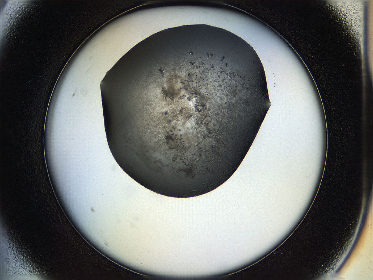 05hp_A9_ImagerDefaults_7.jpg