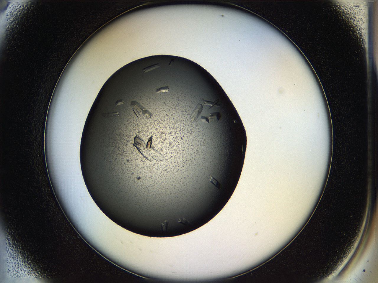 05hp_A8_ImagerDefaults_9.jpg