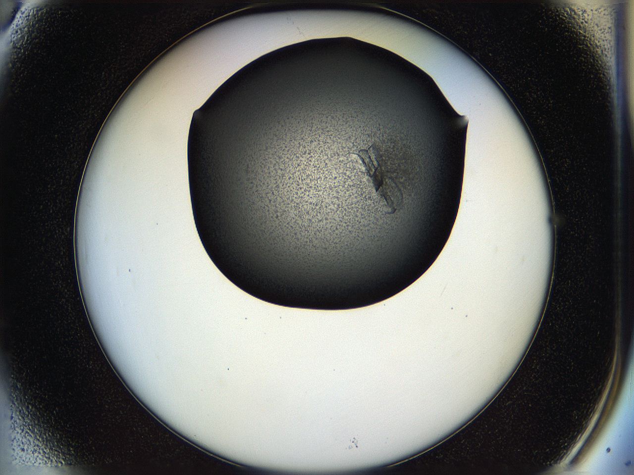 05hp_A6_ImagerDefaults_7.jpg