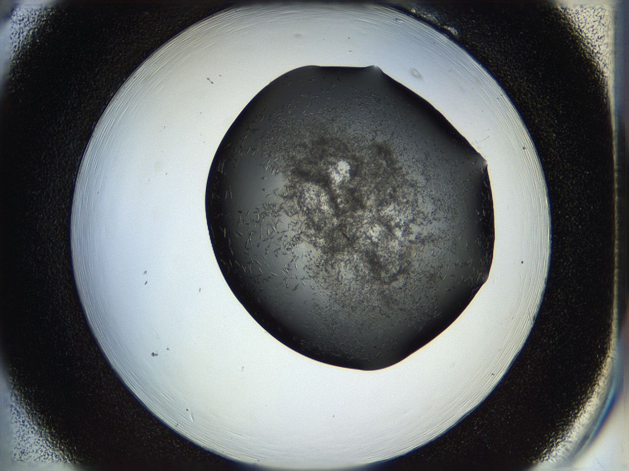 05hp_B6_ImagerDefaults_6.jpg