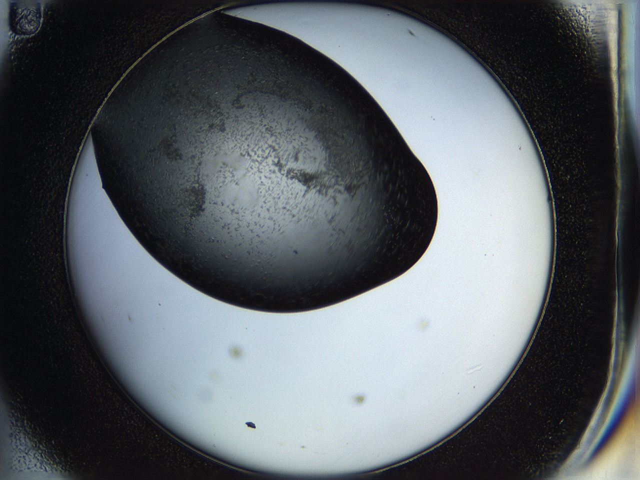 05hp_D11_ImagerDefaults_6.jpg