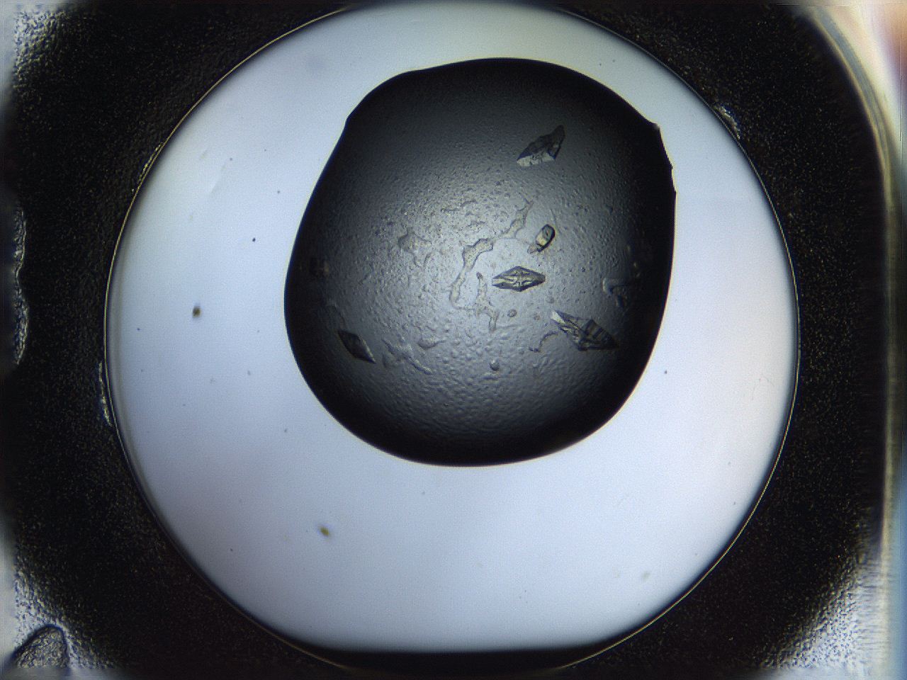 05hp_B11_ImagerDefaults_9.jpg
