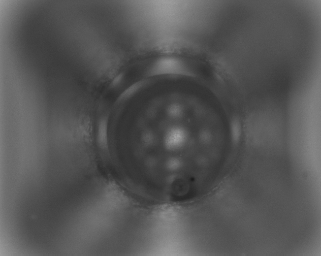 X0000054110073200508022110.png