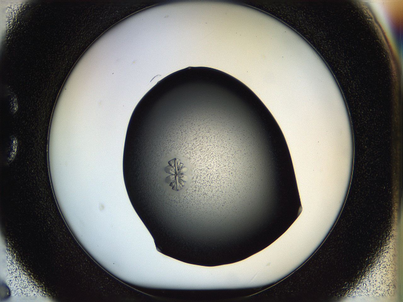05hp_C6_ImagerDefaults_9.jpg