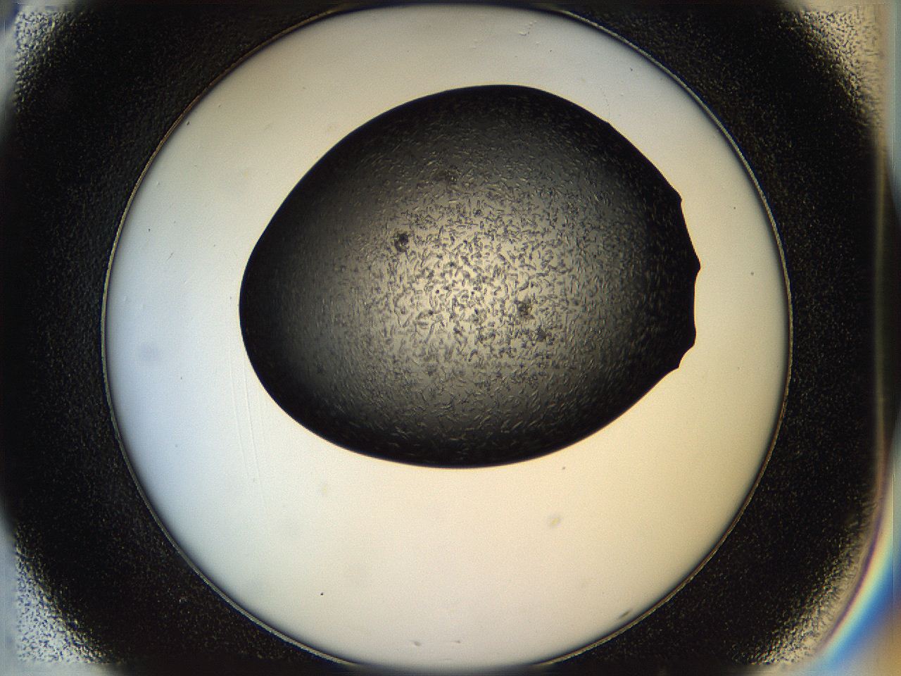 05hp_C8_ImagerDefaults_6.jpg