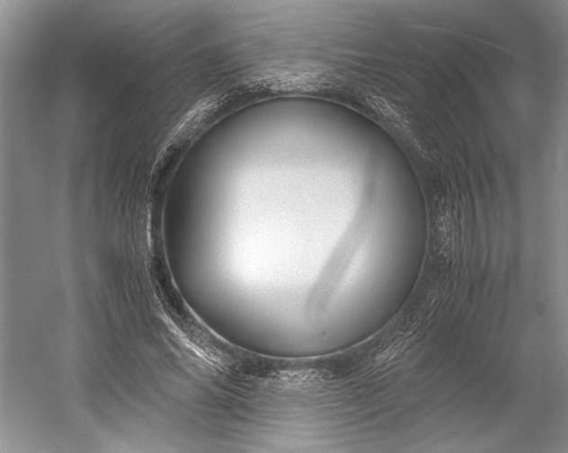 X0000055060686200508161646.png