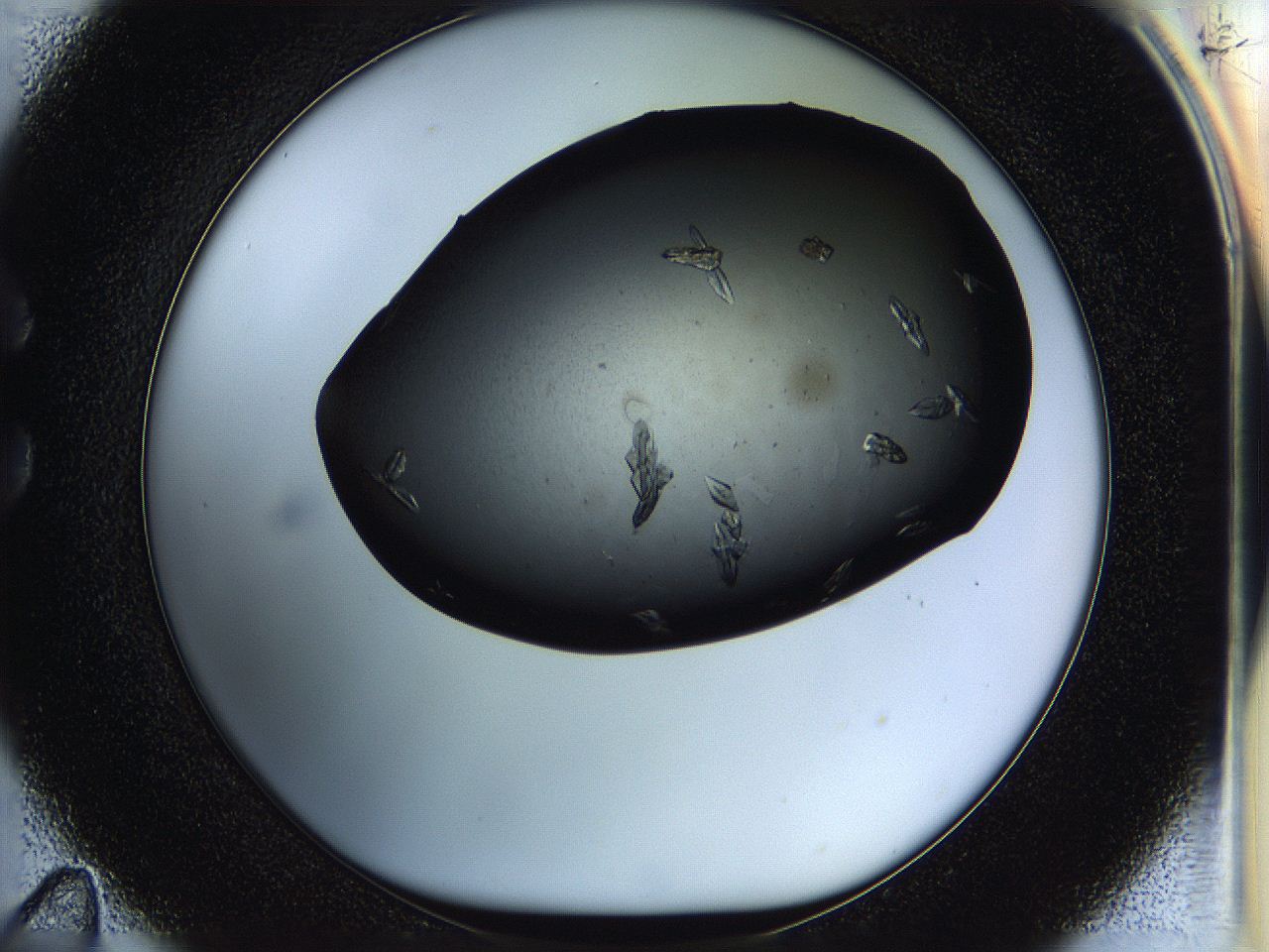 05hp_C11_ImagerDefaults_9.jpg