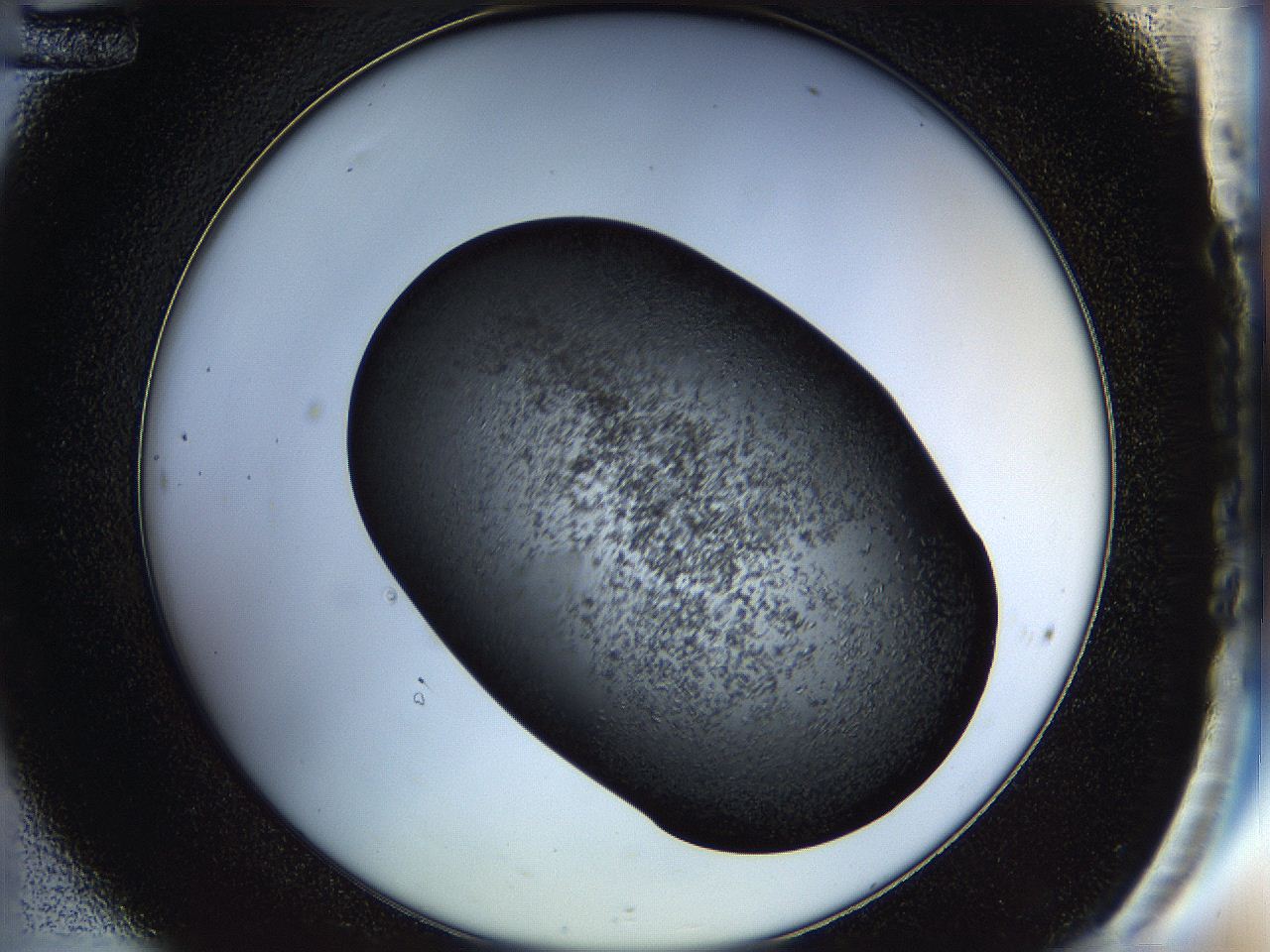 05hp_C12_ImagerDefaults_6.jpg