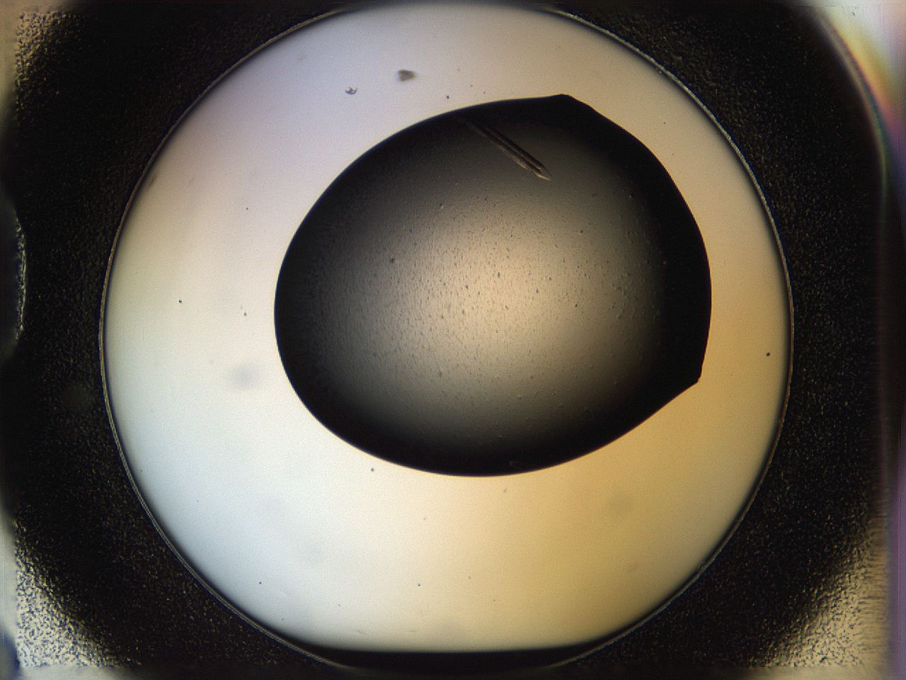 05hp_D8_ImagerDefaults_9.jpg