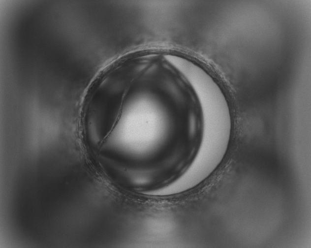 X0000047471168200503091551.png