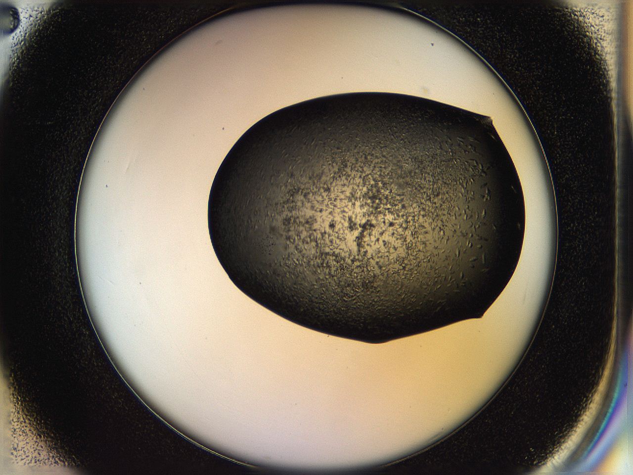 05hp_C2_ImagerDefaults_6.jpg