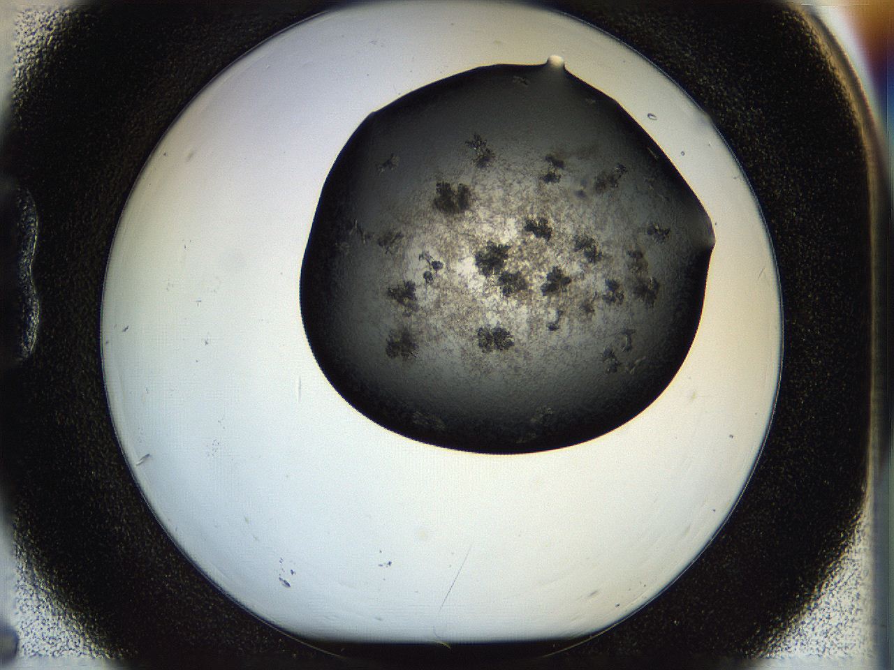 05hp_B6_ImagerDefaults_5.jpg