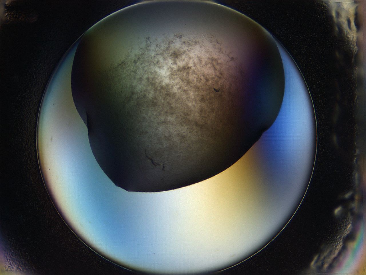 05hp_G12_ImagerDefaults_7.jpg