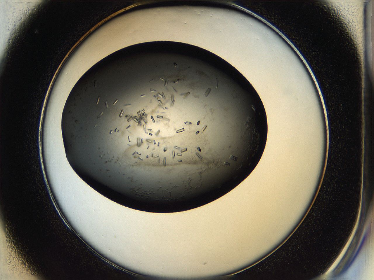 05hq_C1_ImagerDefaults_8.jpg