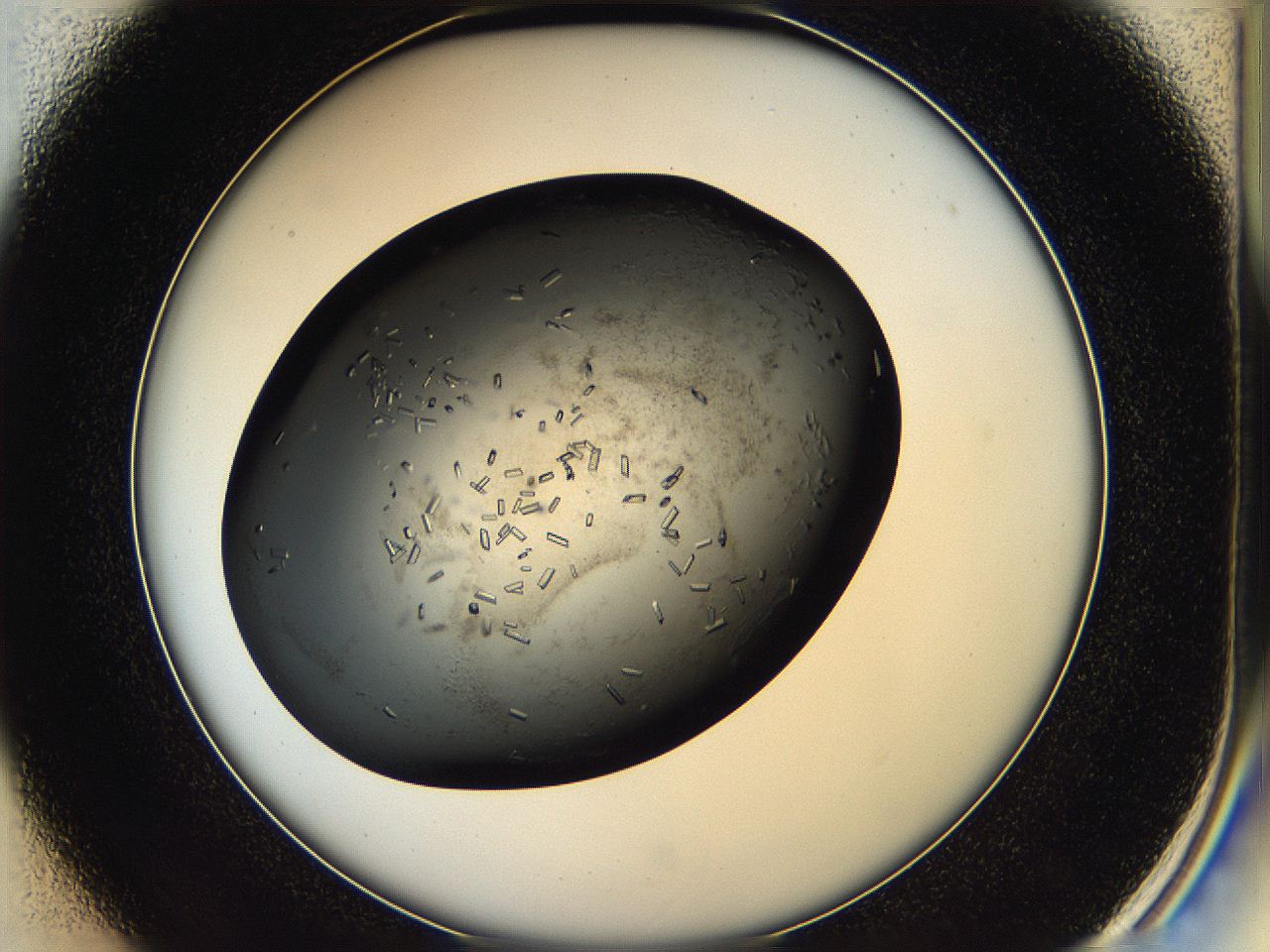 05hq_D1_ImagerDefaults_8.jpg